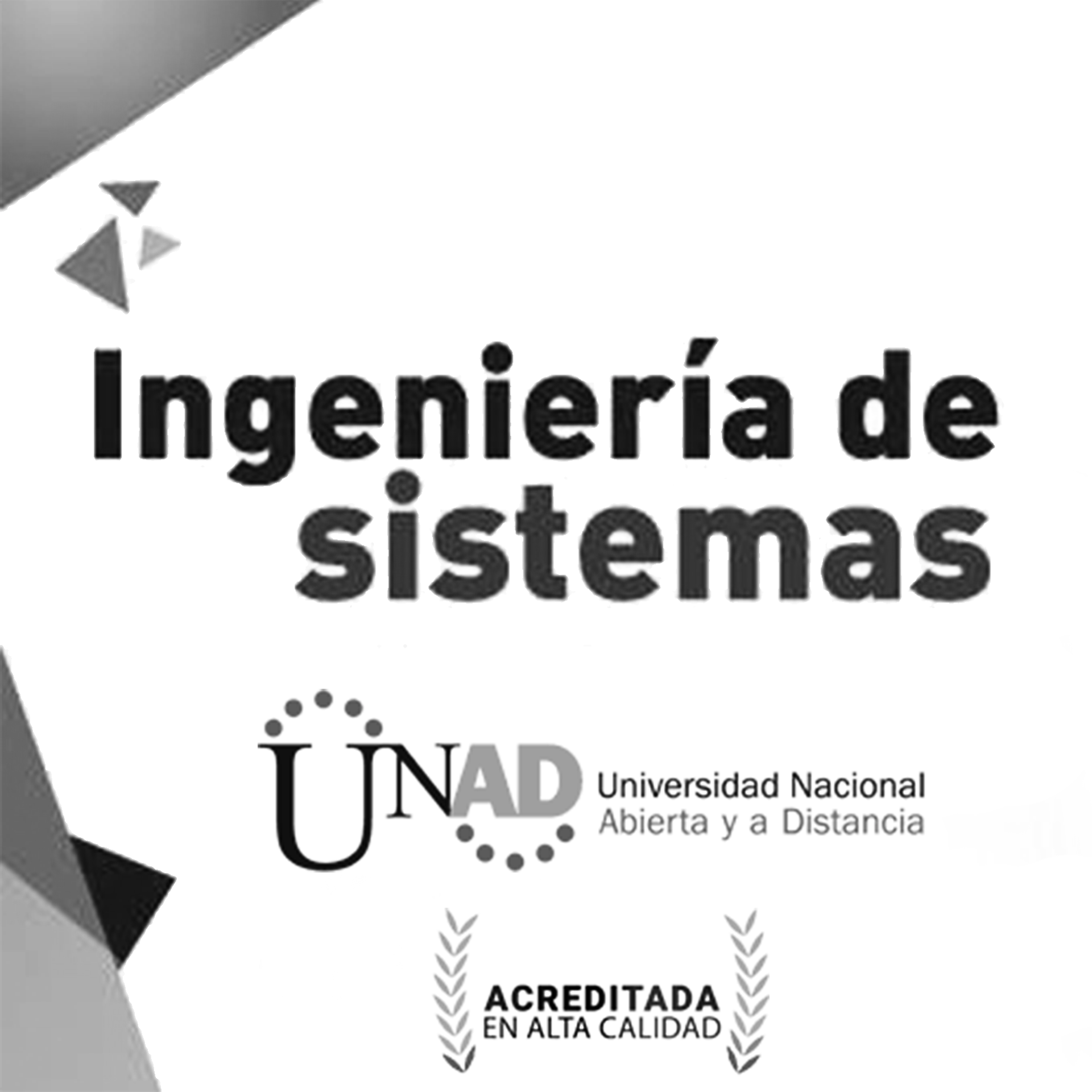 UNAD_Ingeniería_de_Sistemas